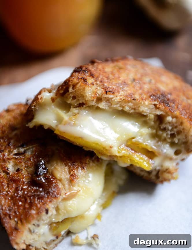 Caramelized Butternut Squash, Roasted Garlic + Coconut Butter Grilled Cheese I howsweeteats.com