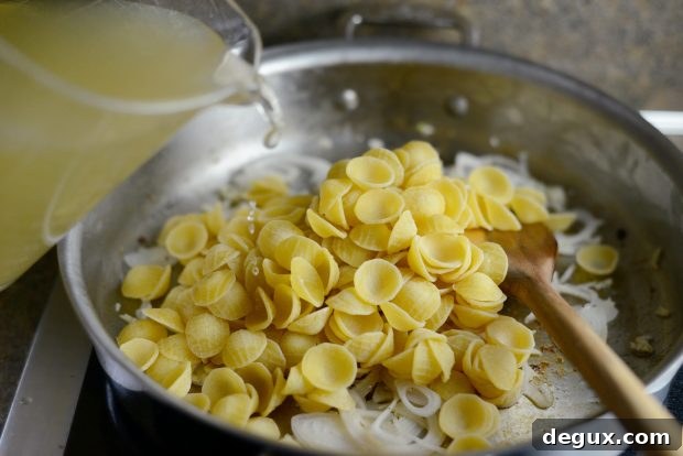 Creamy One-Pan Orecchiette Pasta Recipe 12 One-Pan Creamy Orecchiette Pasta l SimplyScratch (8)