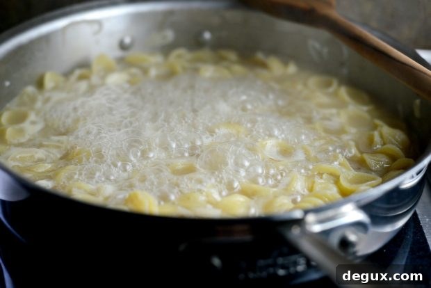 Creamy One-Pan Orecchiette Pasta Recipe 14 One-Pan Creamy Orecchiette Pasta l SimplyScratch (11)
