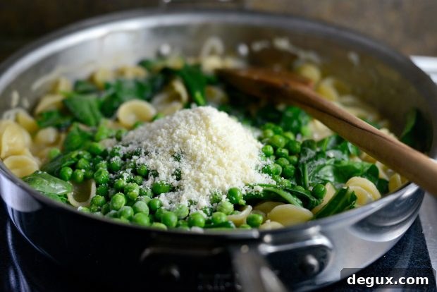 Creamy One-Pan Orecchiette Pasta Recipe 15 One-Pan Creamy Orecchiette Pasta l SimplyScratch (14)