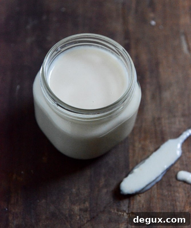 Homemade Chocolate Chip Coconut Butter I howsweeteats.com