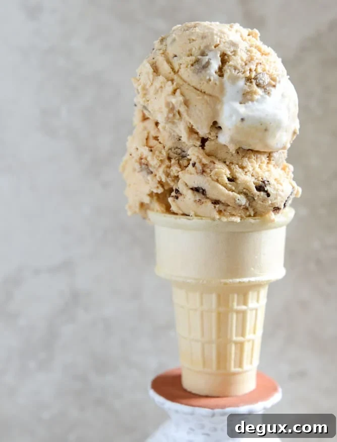 Chocolate Chip Cookies and Cream Pumpkin Marshmallow Ice Cream I howsweeteats.com Chocolate Chip Cookies and Cream Pumpkin Marshmallow Ice Cream I howsweeteats.com