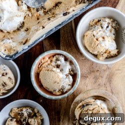 Cookies & Cream Chocolate Chip Pumpkin Marshmallow Ice Cream Recipe 2 img 35815 7