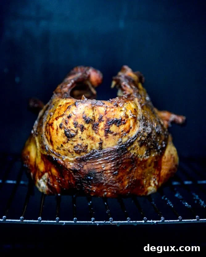 Smoked turkey closeup smoked turkey closeup