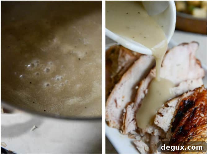 Closeup of gravy and turkey closeup of gravy and turkey