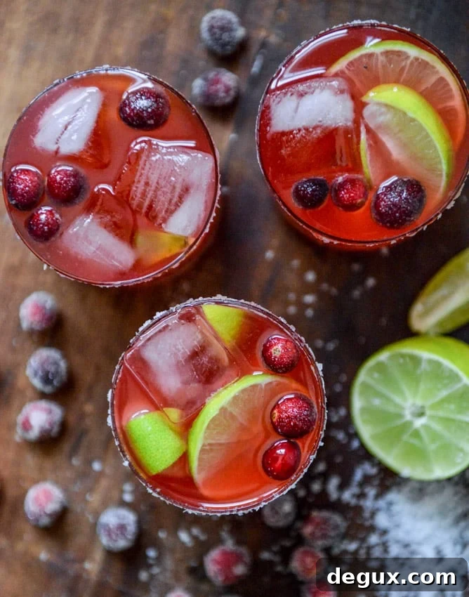 fresh cranberry ginger vanilla margaritas (with sugared cranberries!) I howsweeteats.com fresh cranberry ginger vanilla margaritas (with sugared cranberries!) I howsweeteats.com