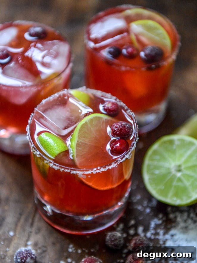 fresh cranberry ginger vanilla margaritas (with sugared cranberries!) I howsweeteats.com fresh cranberry ginger vanilla margaritas (with sugared cranberries!) I howsweeteats.com