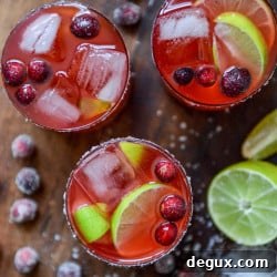 Cranberry Ginger Vanilla Margaritas with Sugared Cranberries (Video) 2 img 35919 7