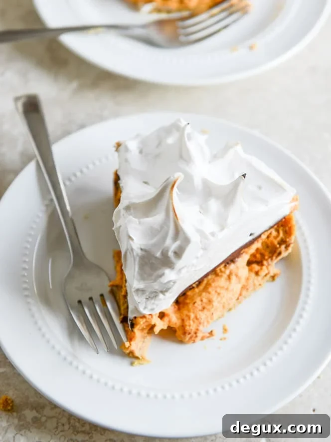 pumpkin s'mores tart I howsweeteats.com