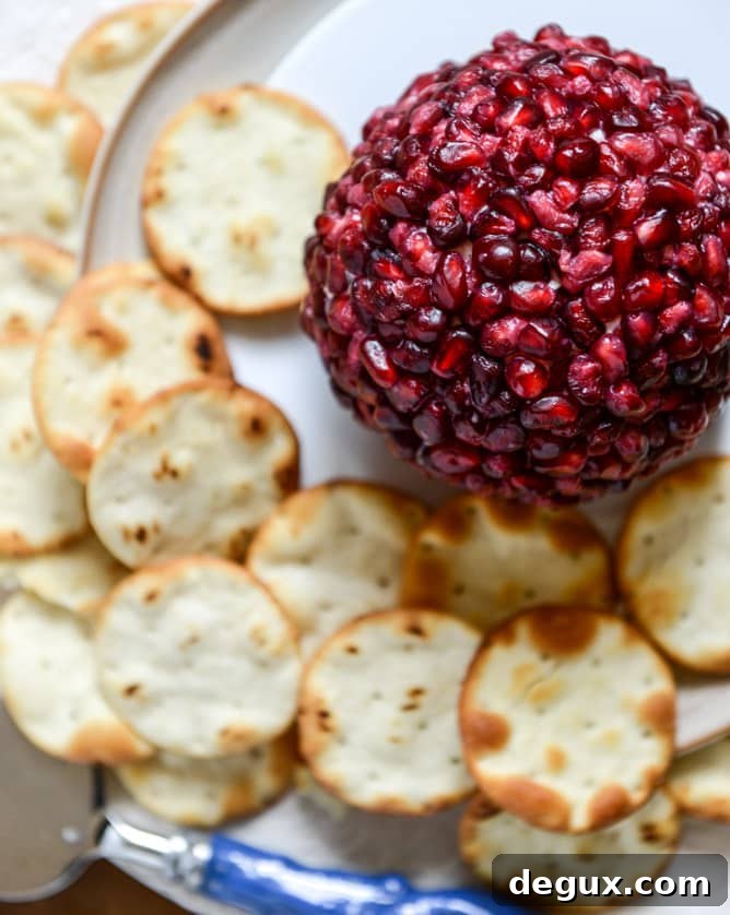 Pomegranate Jeweled White Cheddar, Toasted Almond and Crispy Sage Cheeseball Pomegranate Jeweled White Cheddar, Toasted Almond and Crispy Sage Cheeseball
