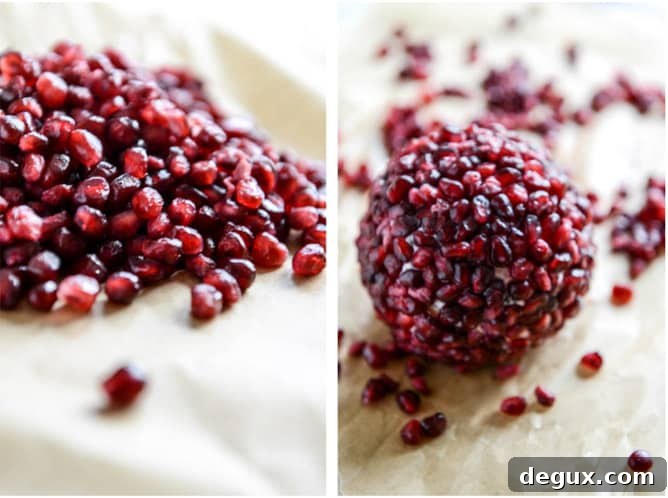 Pomegranate Jeweled White Cheddar, Toasted Almond and Crispy Sage Cheeseball Pomegranate Jeweled White Cheddar, Toasted Almond and Crispy Sage Cheeseball