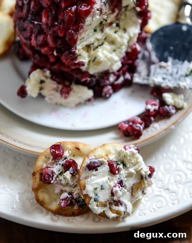 Pomegranate Jeweled White Cheddar, Toasted Almond and Crispy Sage Cheeseball Pomegranate Jeweled White Cheddar, Toasted Almond and Crispy Sage Cheeseball