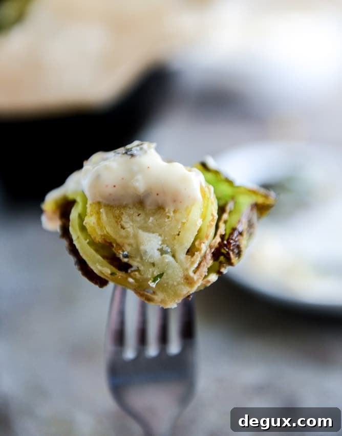 Fried Brussels Sprouts with Smoky Honey Aioli I howsweeteats.com