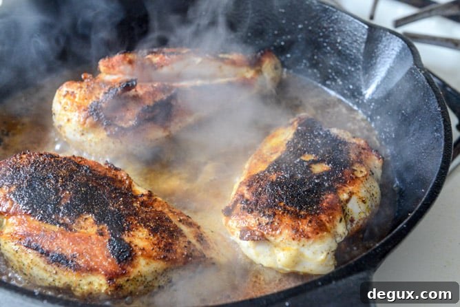 Spicy Beer Braised Lime Chicken Enchiladas I howsweeteats.com