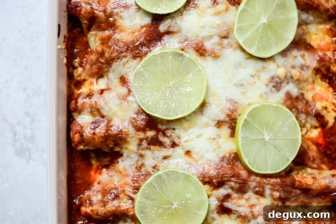 Spicy Beer Braised Lime Chicken Enchiladas I howsweeteats.com