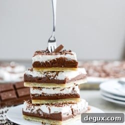 Decadent Chocolate Cream Slab Pie Recipe for Sharing 2 img 36623 6