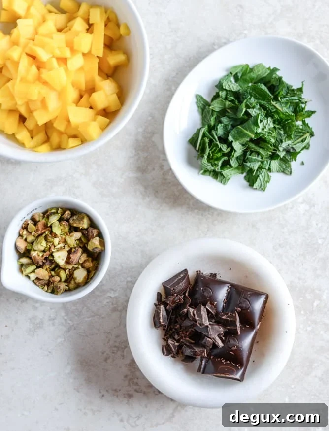 Vanilla Bean Chia Pudding with Fresh Mint, Mango, Pistachios + Dark Chocolate I howsweeteats.com