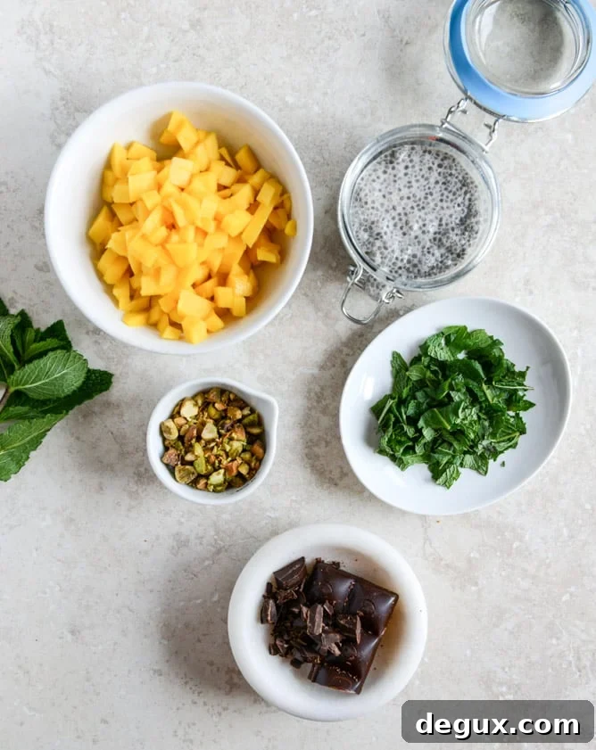 Vanilla Bean Chia Pudding with Fresh Mint, Mango, Pistachios + Dark Chocolate I howsweeteats.com