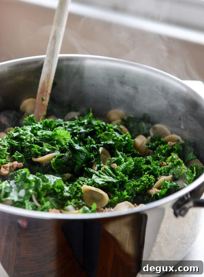 Spicy Sausage, Kale and Whole Wheat Orecchiette Soup I howsweeteats.com