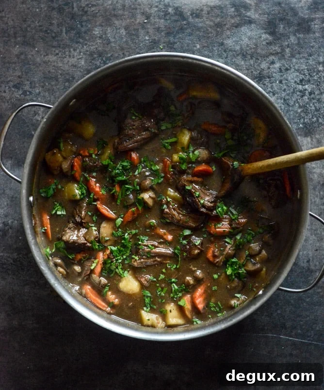 Cabernet Braised Short Rib Beef Stew Cabernet Braised Short Rib Beef Stew closeup