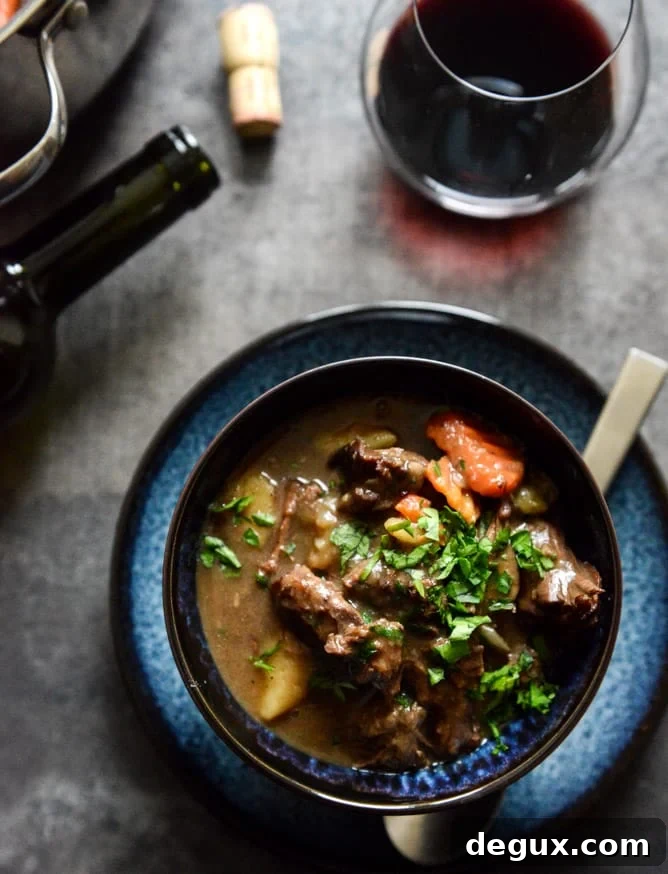 Bowl of braised short rib stew Bowl of braised short rib stew