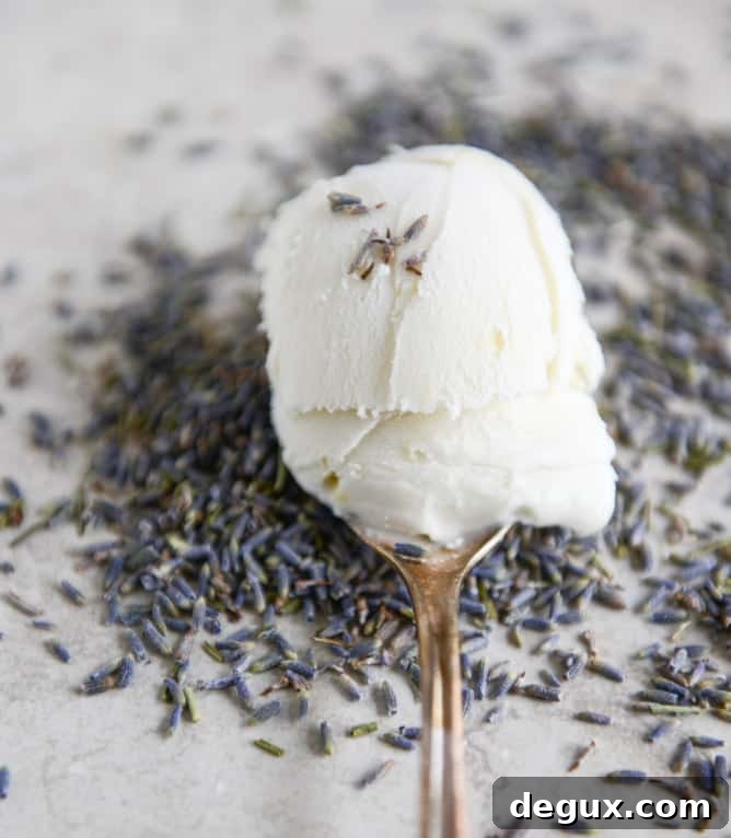 white chocolate lavender ice cream I howsweeteats.com