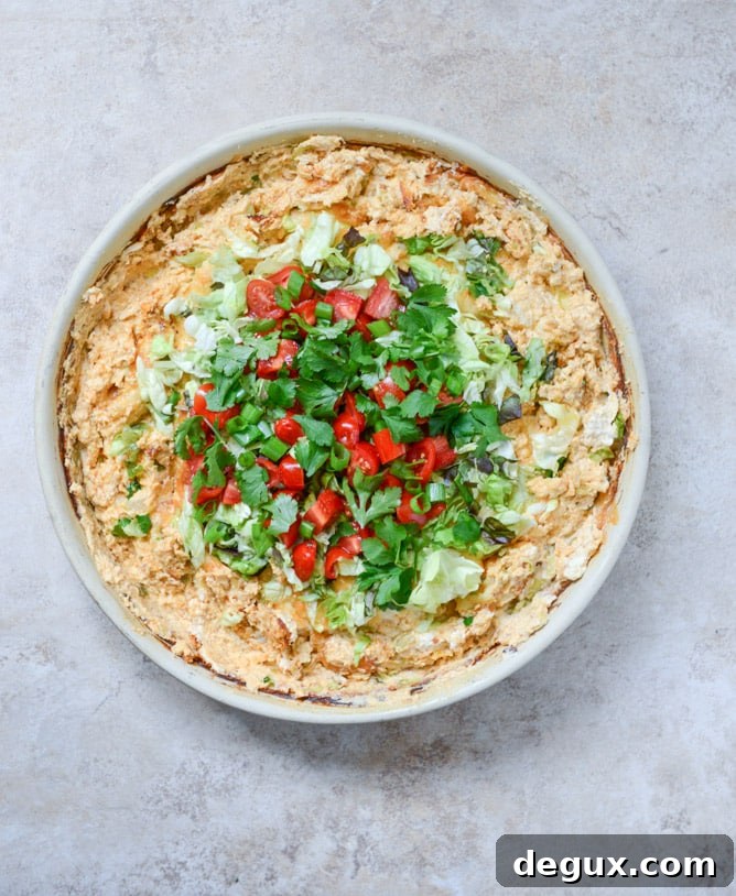 chicken enchilada dip I howsweeteats.com