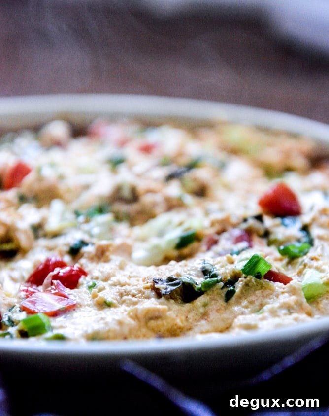 chicken enchilada dip I howsweeteats.com
