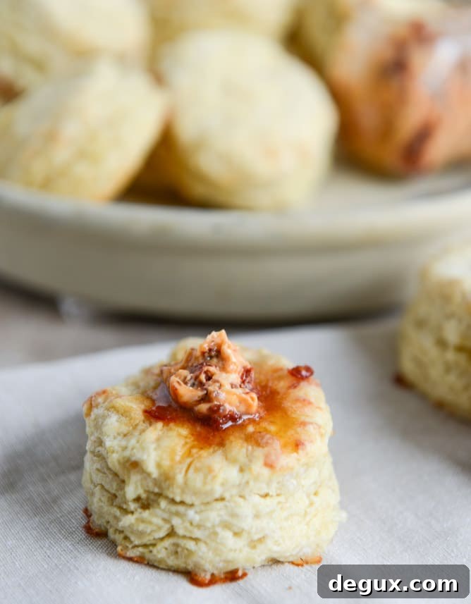 Provolone Scones with Cherry Tomato Butter I howsweeteats.com