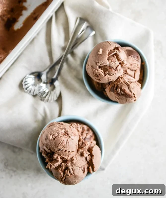 Milk Chocolate Goat Cheese Ice Cream with Ganache Fudge Chunks I howsweeteats.com