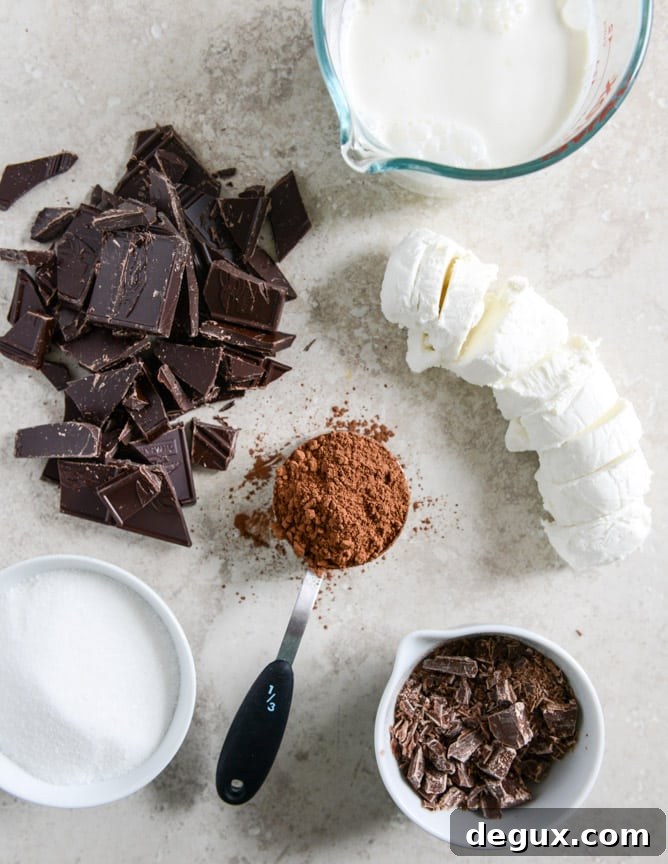 Milk Chocolate Goat Cheese Ice Cream with Ganache Fudge Chunks I howsweeteats.com