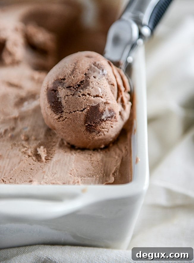 Milk Chocolate Goat Cheese Ice Cream with Ganache Fudge Chunks I howsweeteats.com