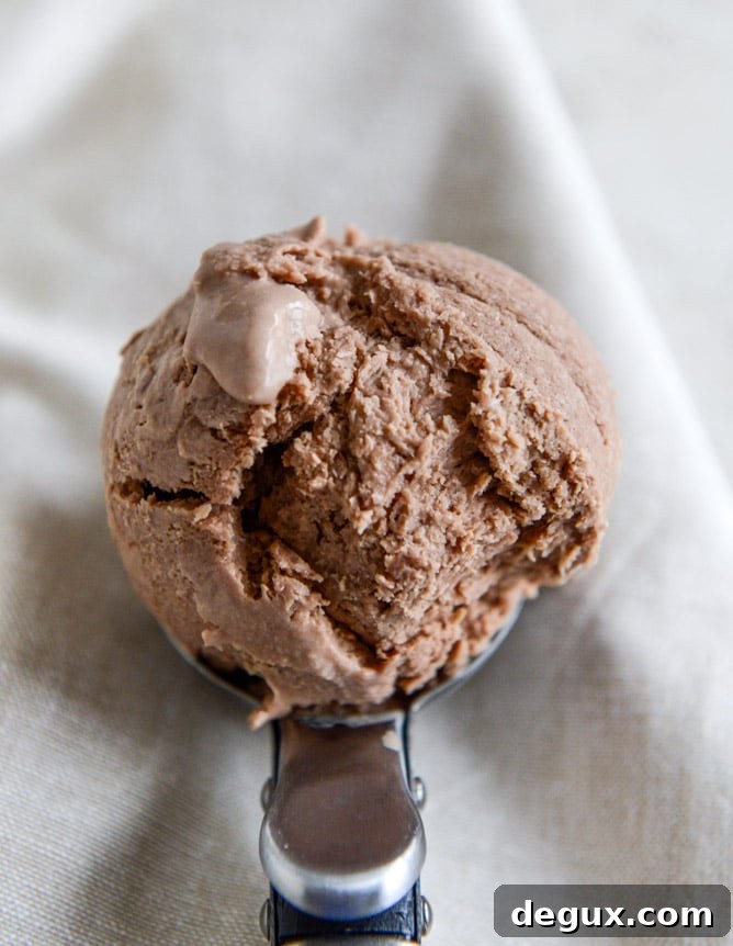 Milk Chocolate Goat Cheese Ice Cream with Ganache Fudge Chunks I howsweeteats.com
