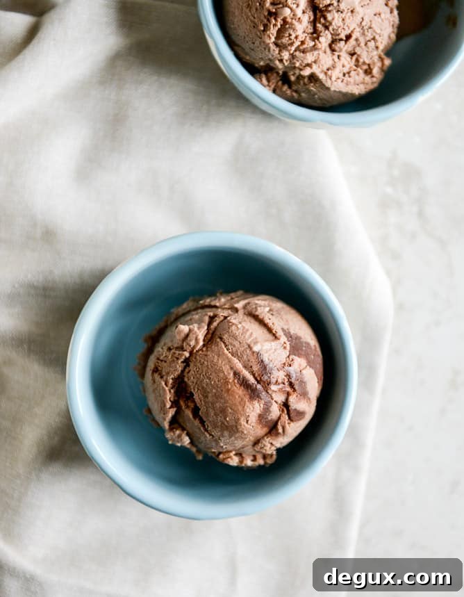 Milk Chocolate Goat Cheese Ice Cream with Ganache Fudge Chunks I howsweeteats.com