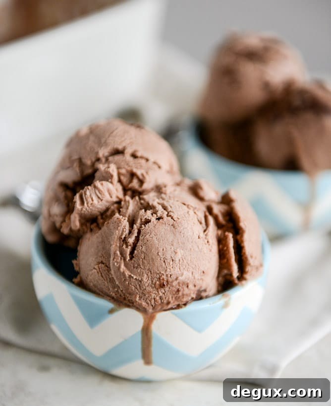 Milk Chocolate Goat Cheese Ice Cream with Ganache Fudge Chunks I howsweeteats.com