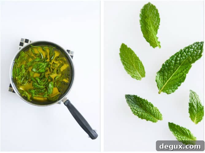 Refreshing Mint Iced Coffee Recipe for Summer 3 fresh mint iced coffee I howsweeteats.com