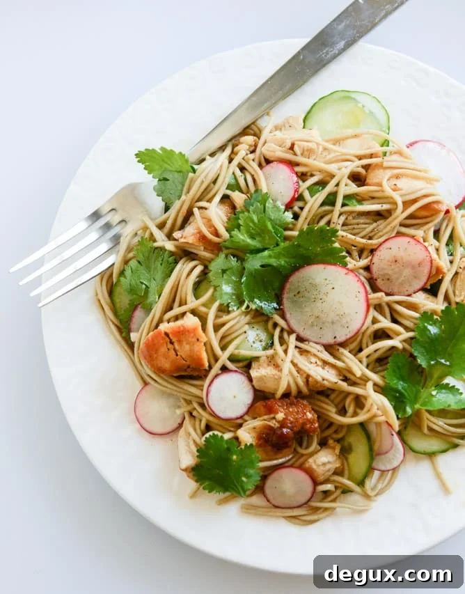 Soba Noodle Salad with Caramelized Chicken and Chili Oil