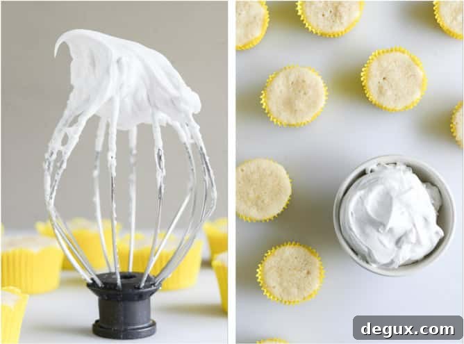Fluffy Lemon Cupcakes with Whipped Coconut Cream I howsweeteats.com