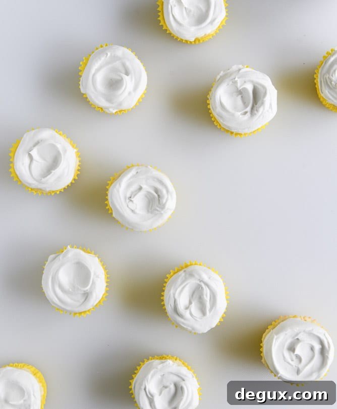 Fluffy Lemon Cupcakes with Whipped Coconut Cream I howsweeteats.com
