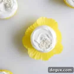 img 38367 7