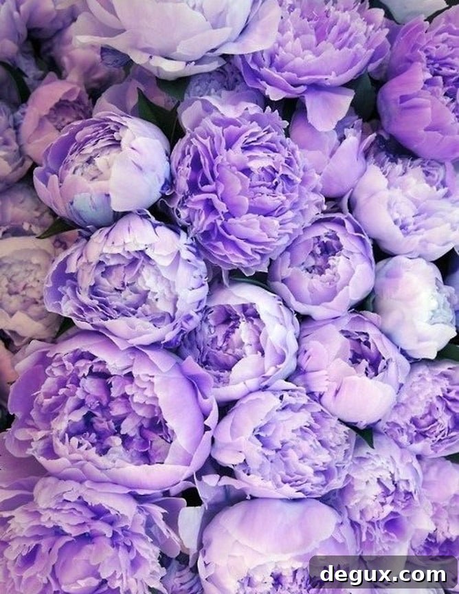 Currently Crushing On: How to Know and Navigate a New Crush 2 currently crushing on I howsweeteats.com