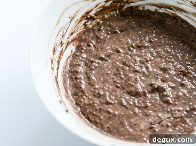 Silky Double Chocolate Chip Chia Pudding Recipe 4 whipped double chocolate chip chia pudding I howsweeteats.com