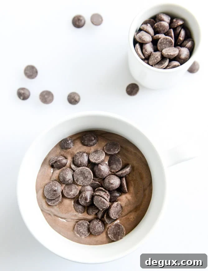 Silky Double Chocolate Chip Chia Pudding Recipe 5 whipped double chocolate chip chia pudding I howsweeteats.com