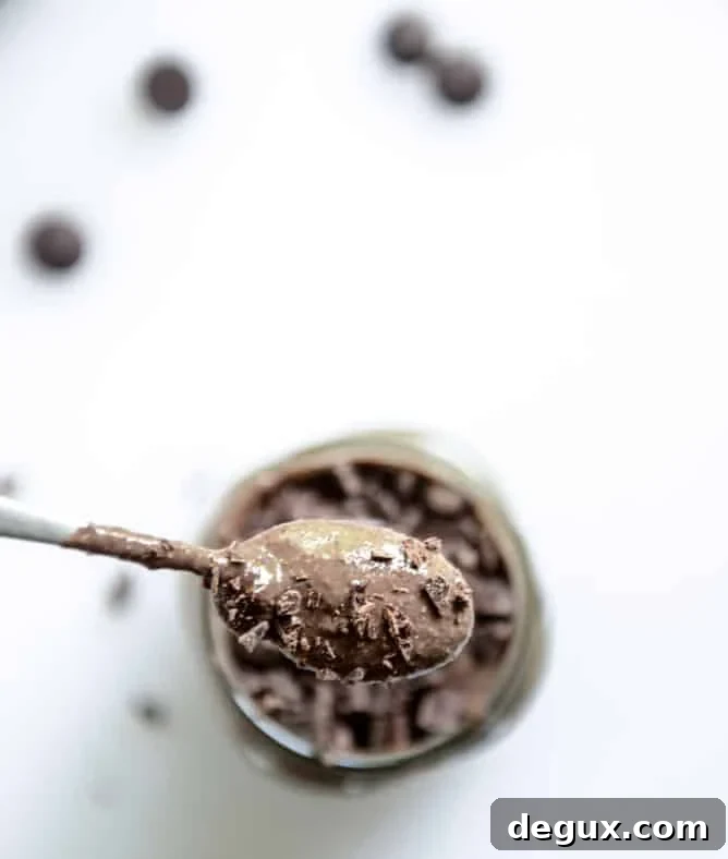 Silky Double Chocolate Chip Chia Pudding Recipe 6 whipped double chocolate chip chia pudding I howsweeteats.com