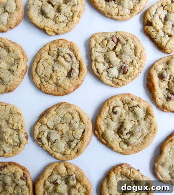 chewy potato chip chocolate chip cookies I howsweeteats.com