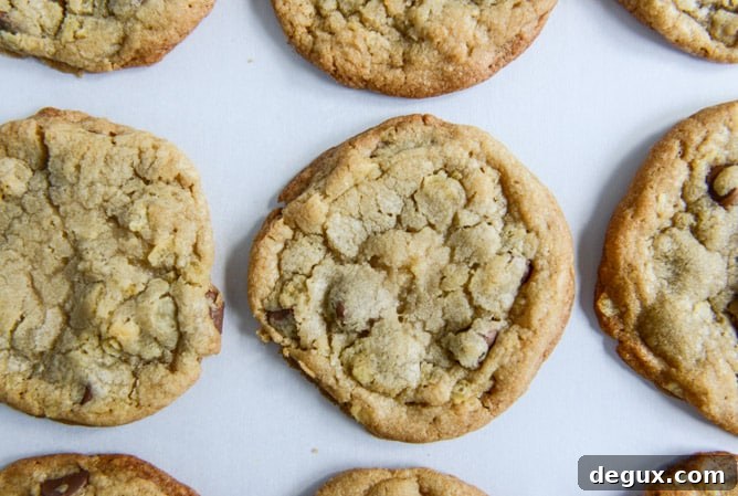 chewy potato chip chocolate chip cookies I howsweeteats.com