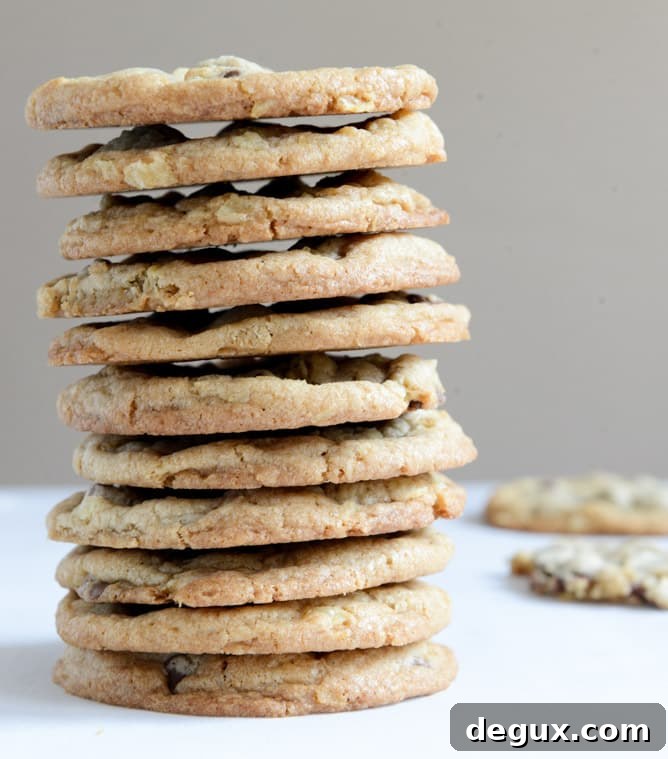 chewy potato chip chocolate chip cookies I howsweeteats.com