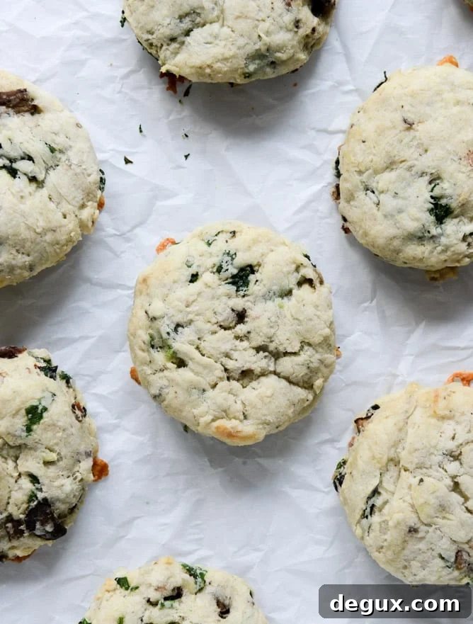 Savory Omelet Scones: Fluffy Breakfast Scones with Eggs and Cheese 2 omelet scones I howsweeteats.com