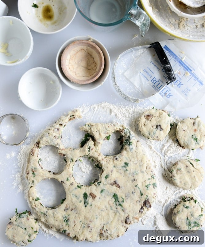 Savory Omelet Scones: Fluffy Breakfast Scones with Eggs and Cheese 5 omelet scones I howsweeteats.com
