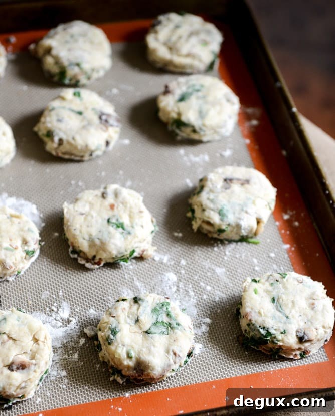 Savory Omelet Scones: Fluffy Breakfast Scones with Eggs and Cheese 6 omelet scones I howsweeteats.com